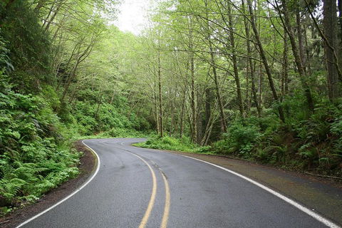 Cruise Ship Shore Excursion - Private Great Ocean Road Full Day Tour (12 Hour) - Accommodation Guide 3