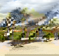 1 Day Exclusively Private Tour Of Phillip Island  The Penguin Parade - Accommodation China