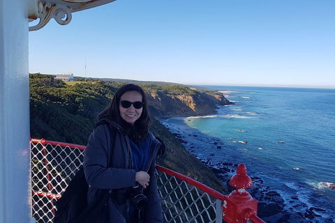 Great Ocean Road Full Day Private Experience - Accommodation Guide 1