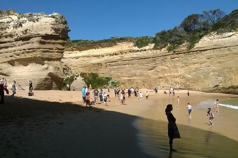 Great Ocean Road Full Day Private Experience - Accommodation Guide 3