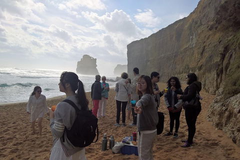 Great Ocean Road Full Day Private Experience - Accommodation Guide 4