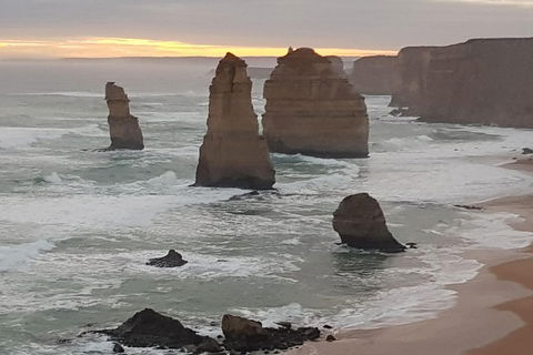 Private Express Experience - 12 Apostles - Accommodation Guide 1
