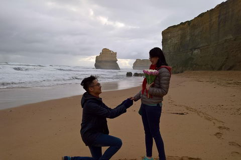 Private Express Experience - 12 Apostles - Accommodation Guide 2