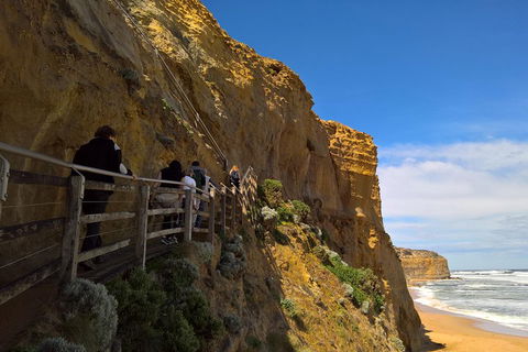 Private Express Experience - 12 Apostles - Accommodation Guide 3