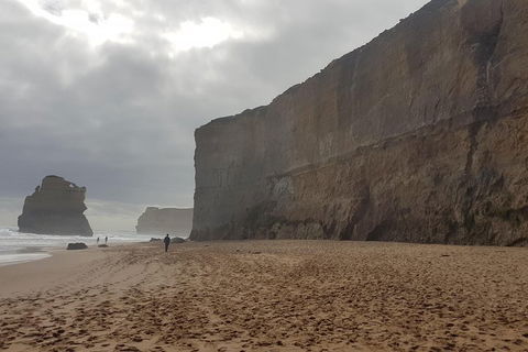 Private Express Experience - 12 Apostles - Accommodation Guide 4