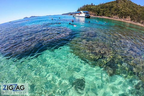 Whitehaven Beach Day Tour With Snorkel In Whitsundays Island - Accommodation Guide 5