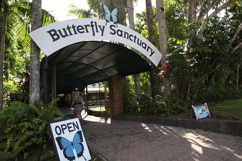 Kuranda Day Trip From Port Douglas Upgrade To Skyrail & Scenic Train Available - Accommodation Guide 0