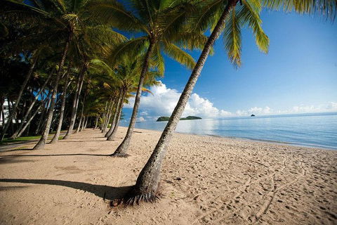 Kuranda Day Trip From Port Douglas Upgrade To Skyrail & Scenic Train Available - Accommodation Guide 1
