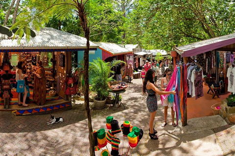 Kuranda Day Trip From Port Douglas Upgrade To Skyrail & Scenic Train Available - Accommodation Guide 2