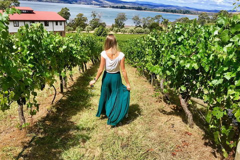 Tamar Valley Wine Tour With Lunch - Accommodation Guide 2