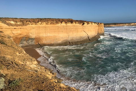 12 Apostles Tour From Warrnambool - Accommodation Guide 1