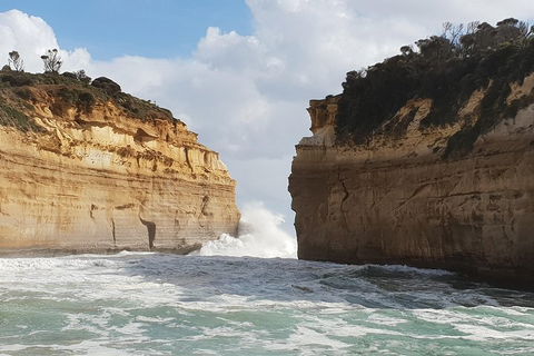 12 Apostles Tour From Warrnambool - Accommodation Guide 2