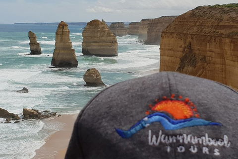 12 Apostles Tour From Warrnambool - Accommodation Guide 4