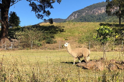 Waterfall Tour - Accommodation Asia 2