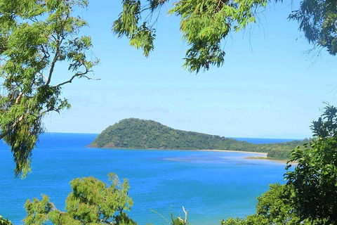 Full Day Tour In The Daintree - Accommodation Guide 1
