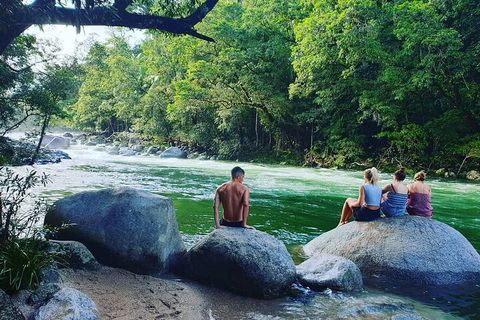 Full Day Tour In The Daintree - Accommodation Guide 3