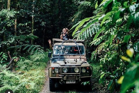 Full Day Tour In The Daintree - Accommodation Guide 4
