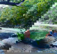 Afternoon Half-Day Daintree Rainforest and River Tour - Accommodation Guide