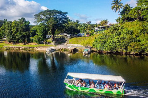 Afternoon Half-Day Daintree Rainforest And River Tour - Accommodation Guide 1