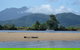 Afternoon Half-Day Daintree Rainforest And River Tour - thumb 2