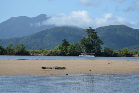 Afternoon Half-Day Daintree Rainforest And River Tour - Accommodation Guide 2