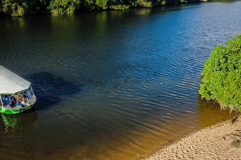 Afternoon Half-Day Daintree Rainforest And River Tour - Accommodation Guide 3