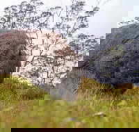 3-Day Cradle Mountain Photography Workshop - Accommodation China