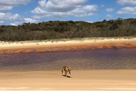 Pippies 3 Days 2 Nights Fraser Island Tour - Accommodation China 2