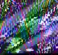 Infinity Attraction - Admission - Accommodation China