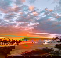1 Hour Broome Sunset Camel Tour - Accommodation Asia
