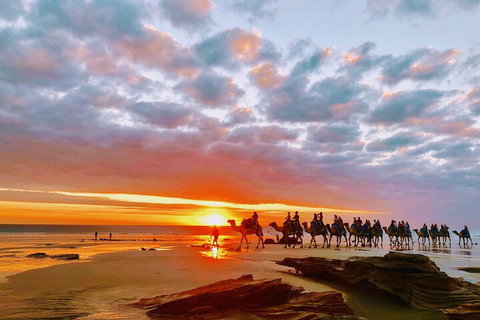 1 Hour Broome Sunset Camel Tour - Accommodation Guide 0