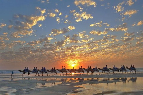 1 Hour Broome Sunset Camel Tour - Accommodation Guide 1