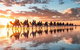 1 Hour Broome Sunset Camel Tour - thumb 2