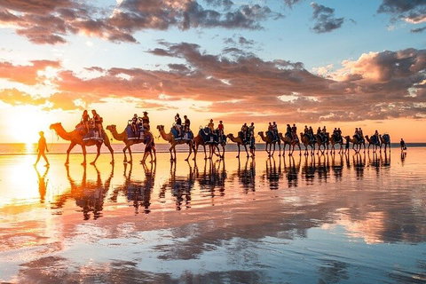 1 Hour Broome Sunset Camel Tour - Accommodation Guide 2
