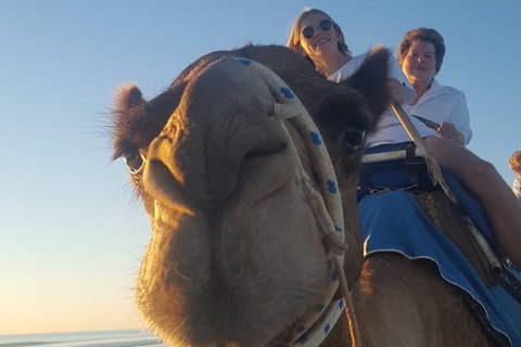 1 Hour Broome Sunset Camel Tour - Accommodation Guide 4