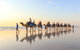 1 Hour Broome Sunset Camel Tour - thumb 5