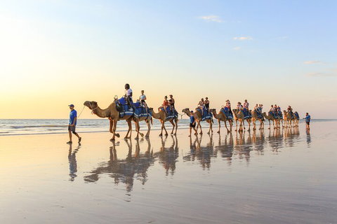 1 Hour Broome Sunset Camel Tour - Accommodation Guide 5