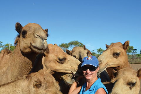 Broome Pre-sunset Camel Tour 30 Minutes - Accommodation Asia 0