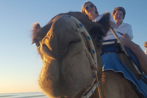 Broome Pre-sunset Camel Tour 30 Minutes - Accommodation Asia 1