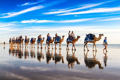 Broome Pre-sunset Camel Tour 30 Minutes - Accommodation Asia 2