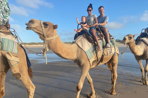 Broome Pre-sunset Camel Tour 30 Minutes - Accommodation Asia 3