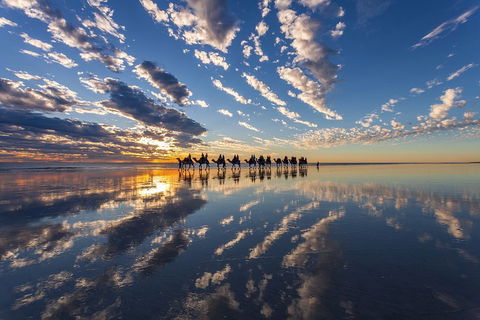 Broome Pre-sunset Camel Tour 30 Minutes - Accommodation Asia 4