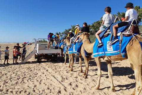 Broome Pre-sunset Camel Tour 30 Minutes - Accommodation Asia 5