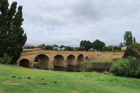 Port Arthur, Richmond And Tasman Peninsula Day Trip From Hobart - Accommodation Guide 3