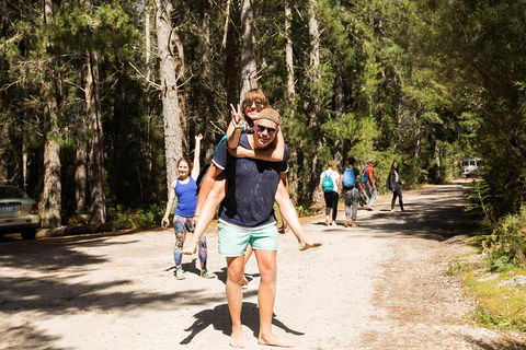 7-Day Best Of Tasmania Adventure Experience From Hobart (flexible Ticket) - Accommodation Guide 5