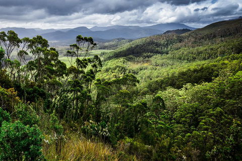 5-Day Lap Of Tasmania Tour From Hobart (flexible Ticket) - Accommodation Guide 2