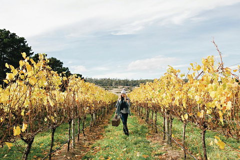 One-Way East Coaster - Accommodation China 1