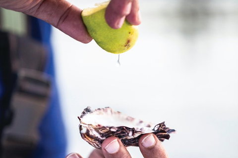 One-Way East Coaster - Accommodation China 3