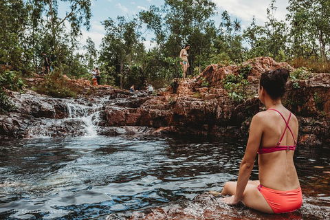 Litchfield National Park Day Tour From Darwin With Waterfalls And Buley Rockhole - Accommodation Guide 0