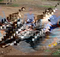 McLaren Vale Intimate Winery Tour by private Limo - Accommodation Guide